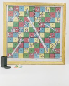 Snake & Ladder
